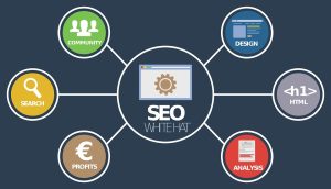 How Does SEO Work For Websites?